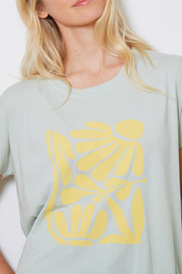ISLA - SUN PLANTS - PISTACHIO - SP24
