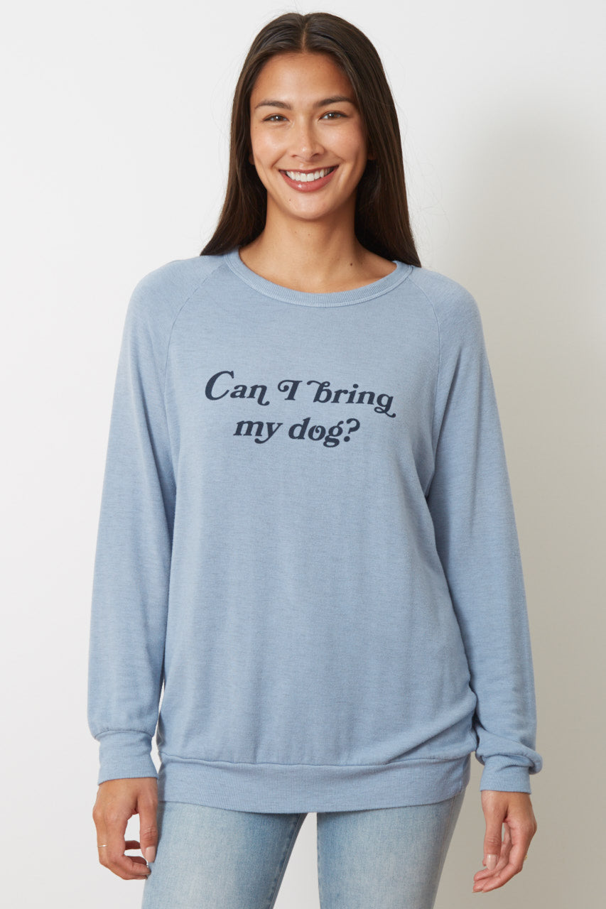 DAVE - CAN I BRING MY DOG?