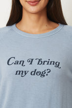 Load image into Gallery viewer, DAVE - CAN I BRING MY DOG?
