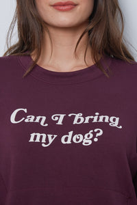 BRIDGETTE - CAN I BRING MY DOG - FUDGE - FA23